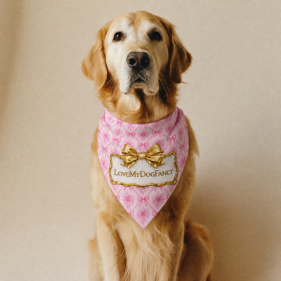 LoveMyDogFancy
